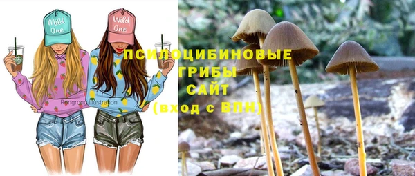 соль ск Горнозаводск
