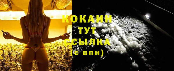 стафф Вязьма