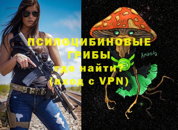 apvp Горно-Алтайск