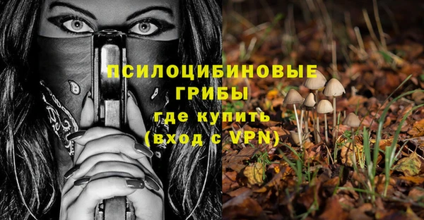 соль ск Вяземский