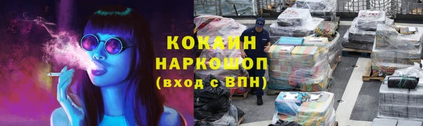 стафф Вязьма