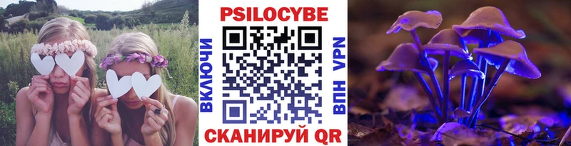 Псилоцибиновые грибы ЛСД  MEGA ТОР  Дно  купить наркоту 